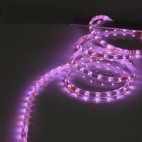 LED diodový pásek 12V, LED 3528, UV světlo, délka 5 metrů 